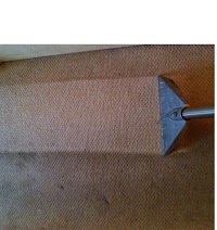 Complete Carpet Services 1052373 Image 6